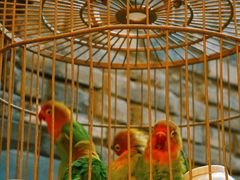 大堂-鱼桥巷·美学川菜