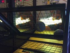 -大玩家超乐场(万达广场苏州吴中店)