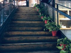 -D STAR COFFEE帝星咖啡