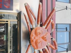 -阿拉斯加·海货(马王堆店)