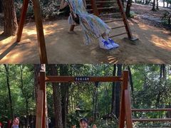 -东湖落雁景区