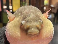 -永安鱼庄·镇江菜(丁卯店)