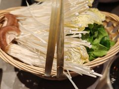 -同仁四季椰子鸡(宝安壹方城店)