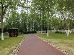 -滨湖塘西河公园