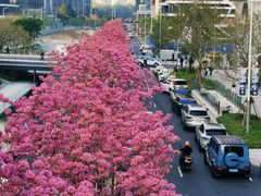 -深圳湾万象城(南山店)