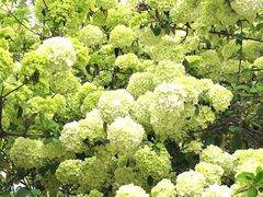 -大龙山(地铁站)