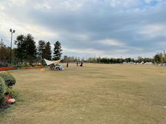 -上海长兴岛郊野公园