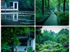 -野蔓果·山野菜(西湖景区·龙井茶田店)