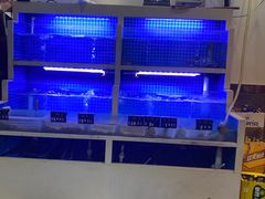 -威海渔村(静安旗舰店)