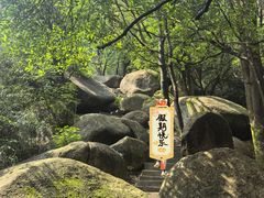 -火炉山森林公园