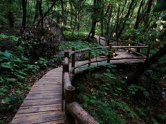 -北京上方山国家森林公园