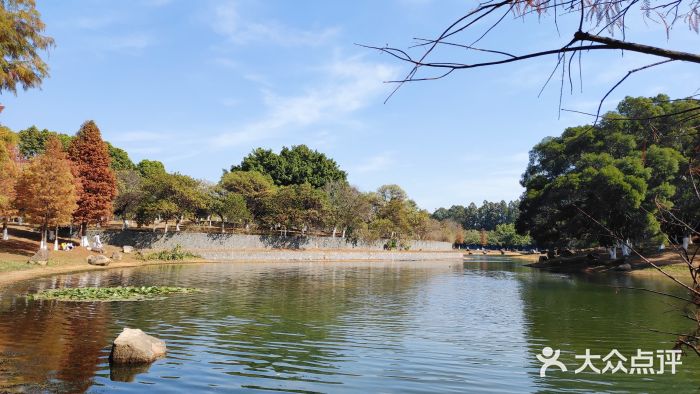 松山湖南湖湾露营营地图片