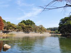 -松山湖南湖湾露营营地