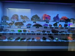 -湖南省地质博物馆