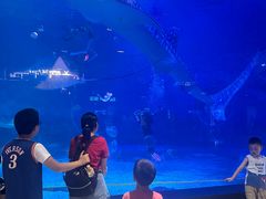 -烟台海昌鲸鲨海洋公园