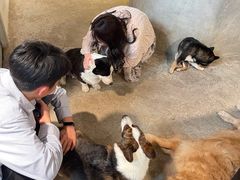 -自由生长植物工作室(深港花卉中心店)