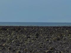 -长江澳风力发电景观区