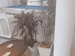 -影居starhoho·泳池别墅轰趴馆·天璇