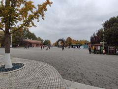 -大兴滨河森林公园