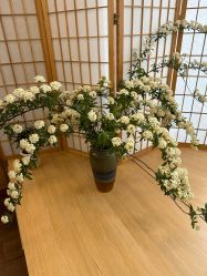 -宥莉·ULLY 痘敏肌•科技皮肤管理中心