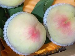 -老袁家蜜桃农场·阳山水蜜桃