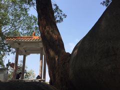 -火炉山森林公园