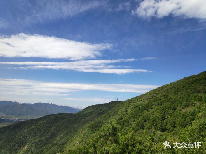 蟒山國家森林公園圖片 - 第4張