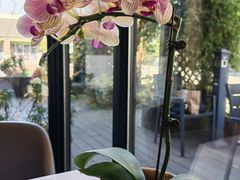 -YUNHE秐合· 雅致浙宴(西溪店)