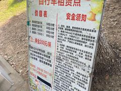 -贡湖湾湿地公园