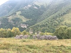 -灵山