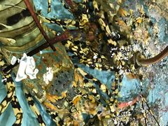 -渔民新村(番禺总店)