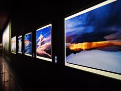 -罗红摄影艺术馆