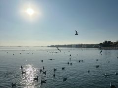 -包头南海湿地景区