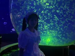 -江和美海洋公园