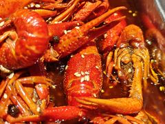 -京悦南门涮羊肉·羊蝎子火锅(田林路店)