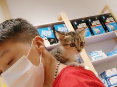 -屋虎猫馆(宝安大仟里店)