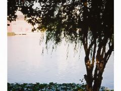 -沙市市中山公园