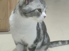 -藏猫猫咖啡主题馆(中央大道店)