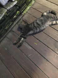 -汉刺青TATTOO STUDIO