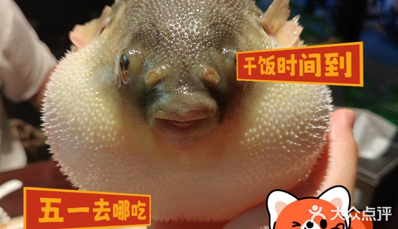不是镇江这家店怎么这样啊，让人差点哭出来