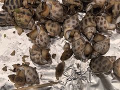 -大东海海鲜酒楼(渔人码头总店)