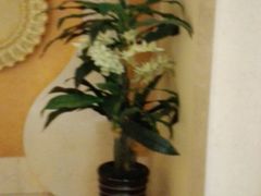 -白金汉爵大酒店(相城店)