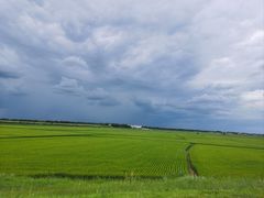 -哈拉新村