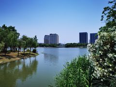 -南翔镇银翔湖公园