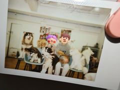 -Let's go狗咖·猫咖·奶狗·桌游(春熙路IFS店)