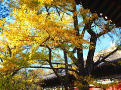 -红螺寺