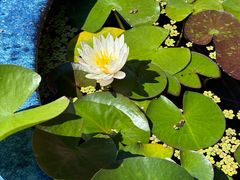 -南京金牛湖风景区