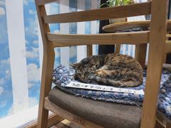 -猫的天空之城概念书店(杭州南宋御街店)