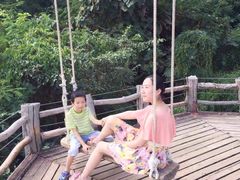 -大树秋千