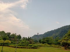 -南沙蒲洲花园